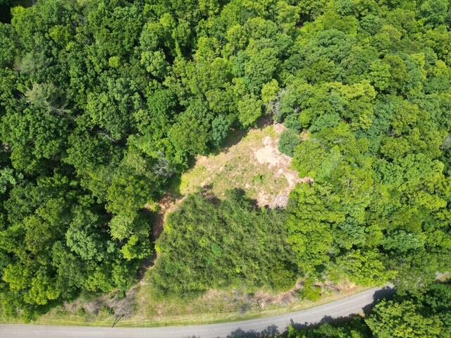 0 Creasey Chapel Road Stuart, VA 24171 - Photo 14 of 40 a view of a yard