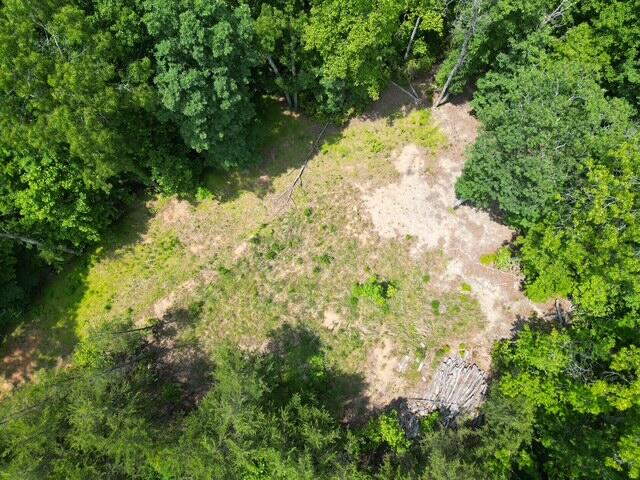 0 Creasey Chapel Road Stuart, VA 24171 - Photo 15 of 40 a view of a yard with a tree