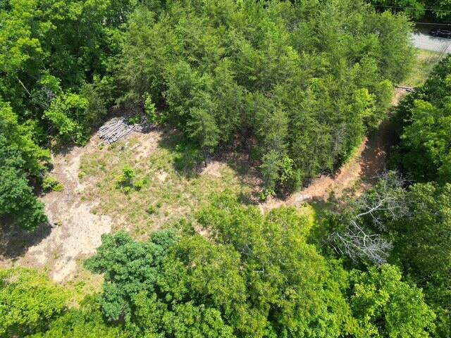 0 Creasey Chapel Road Stuart, VA 24171 - Photo 16 of 40 a view of a forest with a tree