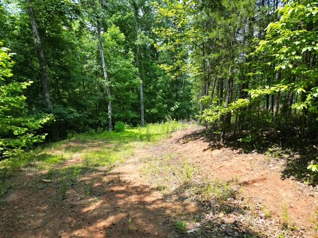 0 Creasey Chapel Road Stuart, VA 24171 - Photo 19 of 40 a view of a yard with plants and large trees