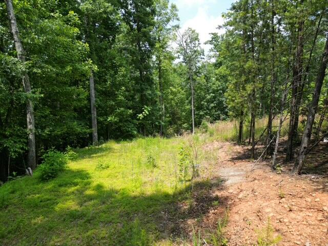 0 Creasey Chapel Road Stuart, VA 24171 - Photo 20 of 40 a view of backyard with green space