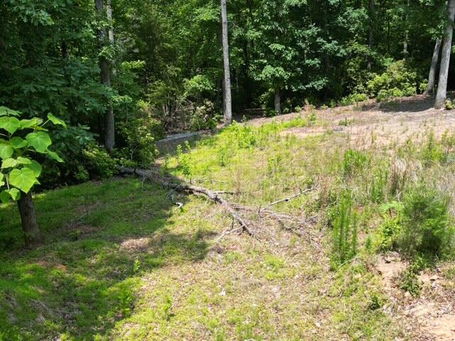 0 Creasey Chapel Road Stuart, VA 24171 - Photo 23 of 40 a view of a yard with plants and large trees