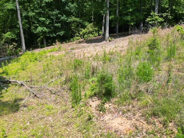 0 Creasey Chapel Road Stuart, VA 24171 - Photo 24 of 40 a pathway of a yard