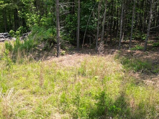 0 Creasey Chapel Road Stuart, VA 24171 - Photo 26 of 40 a view of backyard with green space