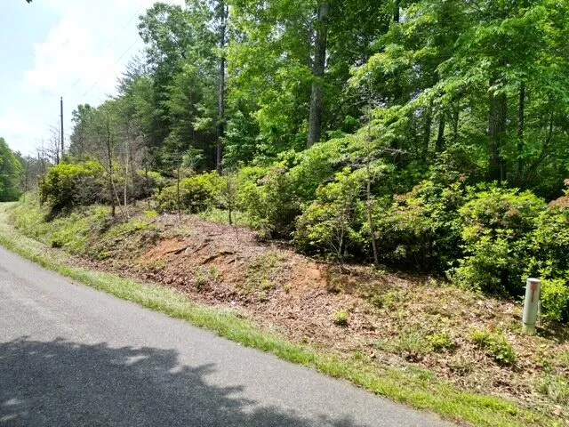 a view of a yard with plants and trees