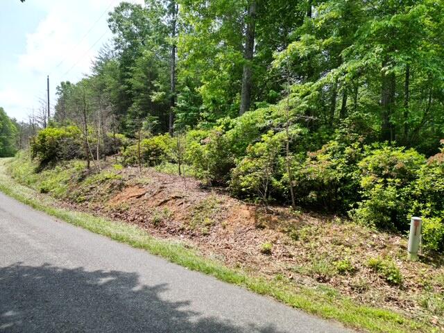 0 Creasey Chapel Road Stuart, VA 24171 - Photo 3 of 40