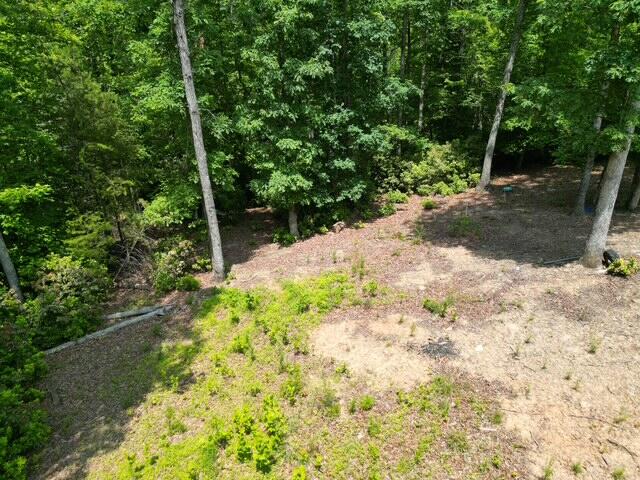 0 Creasey Chapel Road Stuart, VA 24171 - Photo 31 of 40 a view of backyard with green space