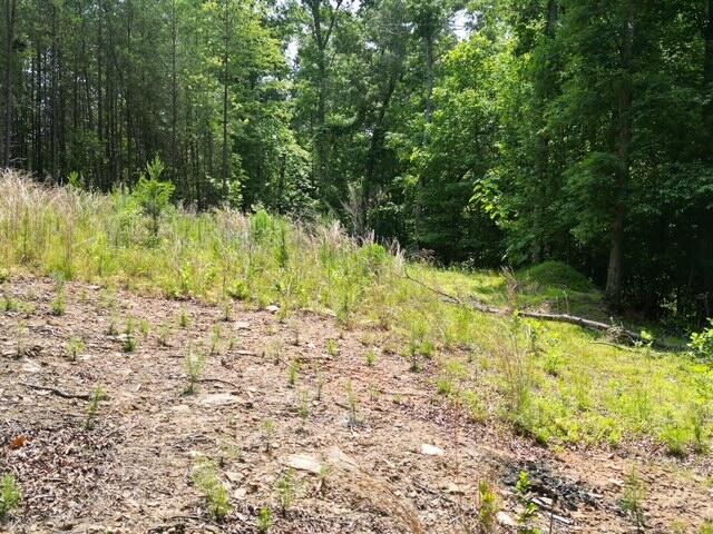 0 Creasey Chapel Road Stuart, VA 24171 - Photo 34 of 40 a view of backyard with green space