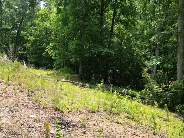 0 Creasey Chapel Road Stuart, VA 24171 - Photo 35 of 40 a view of swimming pool from a yard