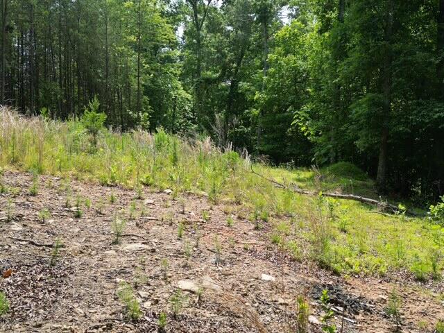 0 Creasey Chapel Road Stuart, VA 24171 - Photo 36 of 40 a view of backyard with green space