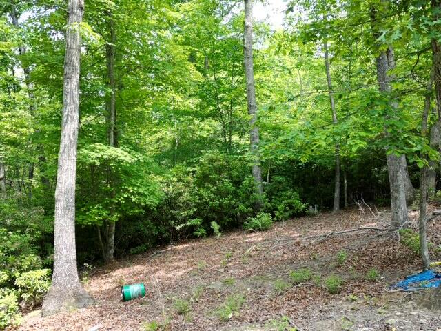0 Creasey Chapel Road Stuart, VA 24171 - Photo 37 of 40 a view of outdoor space and yard