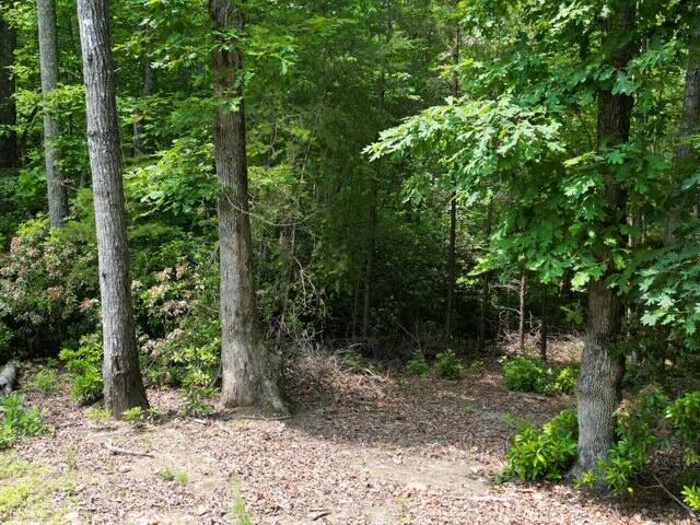 0 Creasey Chapel Road Stuart, VA 24171 - Photo 38 of 40 a view of outdoor space and yard