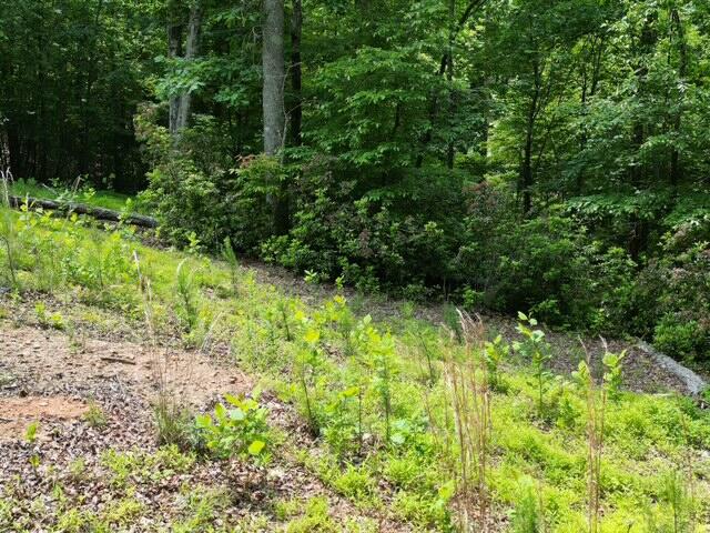 0 Creasey Chapel Road Stuart, VA 24171 - Photo 39 of 40 a view of outdoor space and garden
