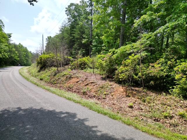 0 Creasey Chapel Road Stuart, VA 24171 - Photo 4 of 40 a view of a yard with plants and trees