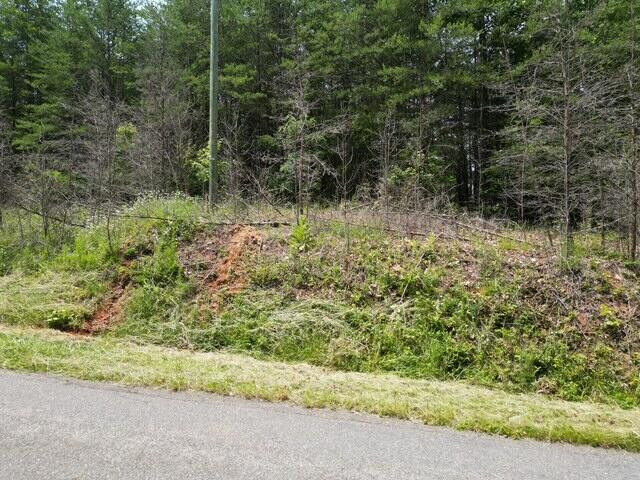 0 Creasey Chapel Road Stuart, VA 24171 - Photo 5 of 40 a view of a forest with trees