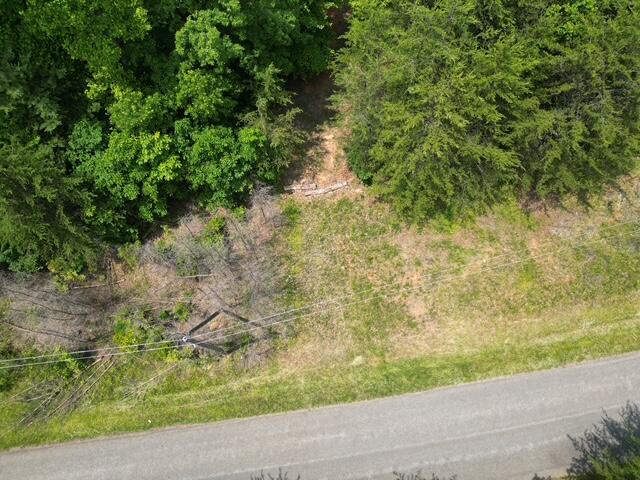 0 Creasey Chapel Road Stuart, VA 24171 - Photo 8 of 40 a view of a yard with plants