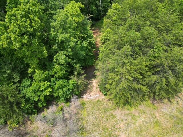 0 Creasey Chapel Road Stuart, VA 24171 - Photo 9 of 40 a view of a yard with plants