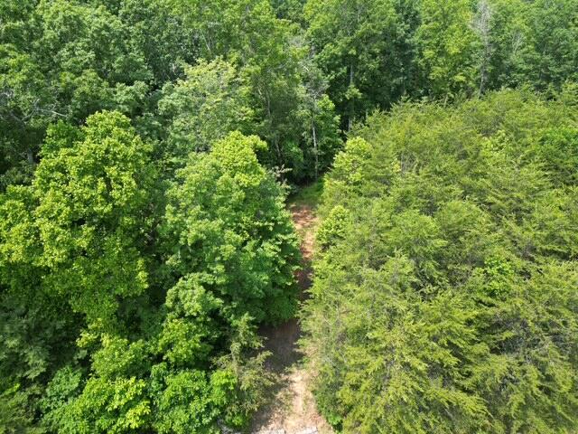 0 Creasey Chapel Road Stuart, VA 24171 - Photo 10 of 40 a view of a lush green forest