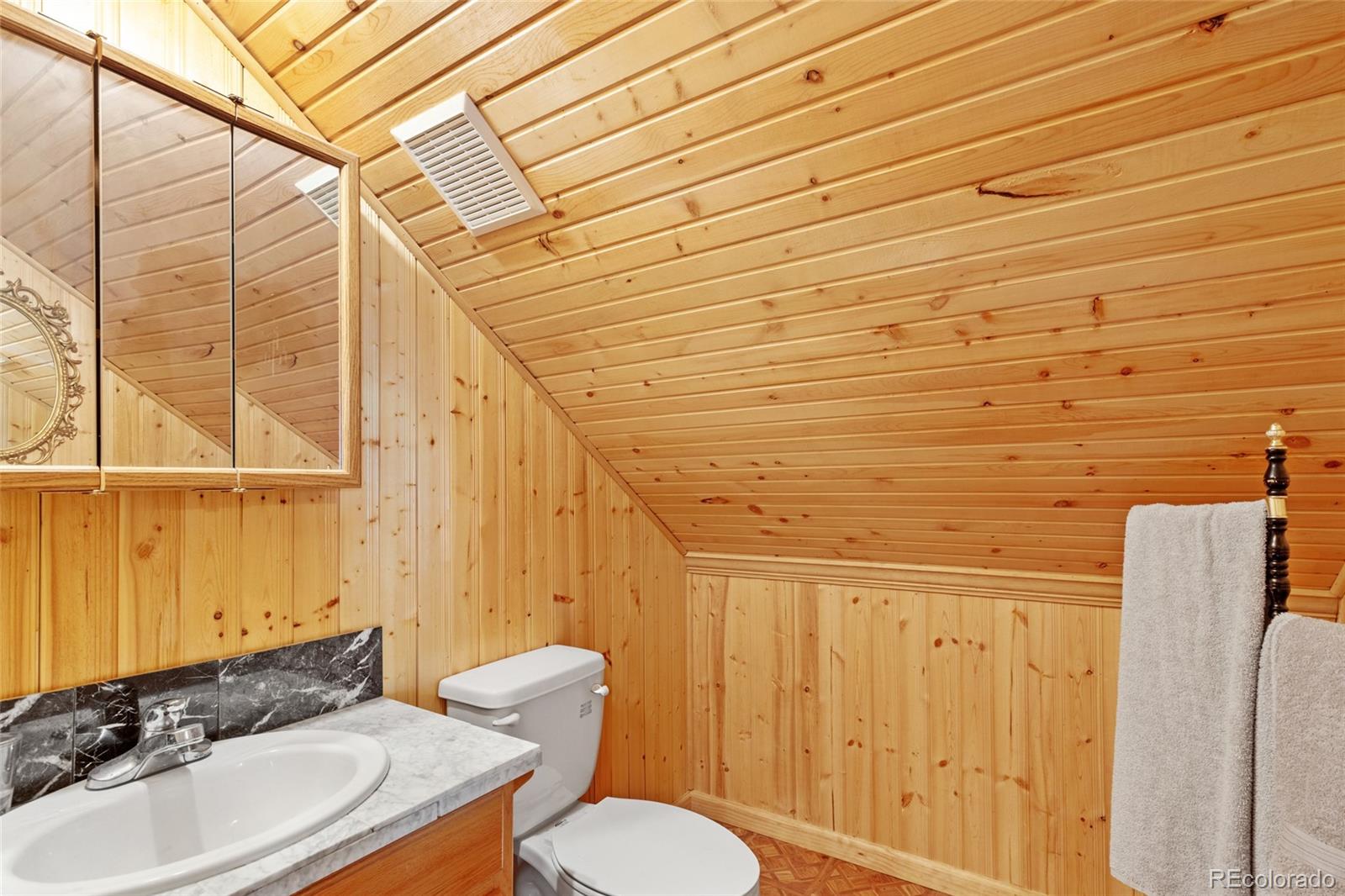 64 Zip Lane Bailey, CO 80421 - Photo 22 of 33 Gallery Image 22