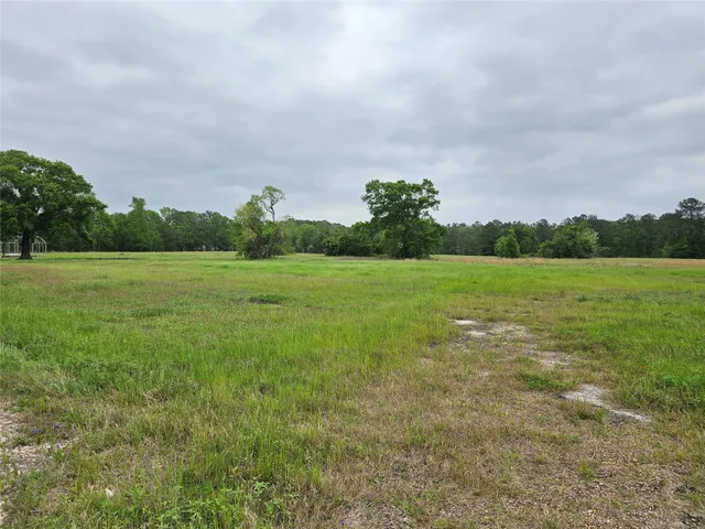 a view of a field with an trees in the background