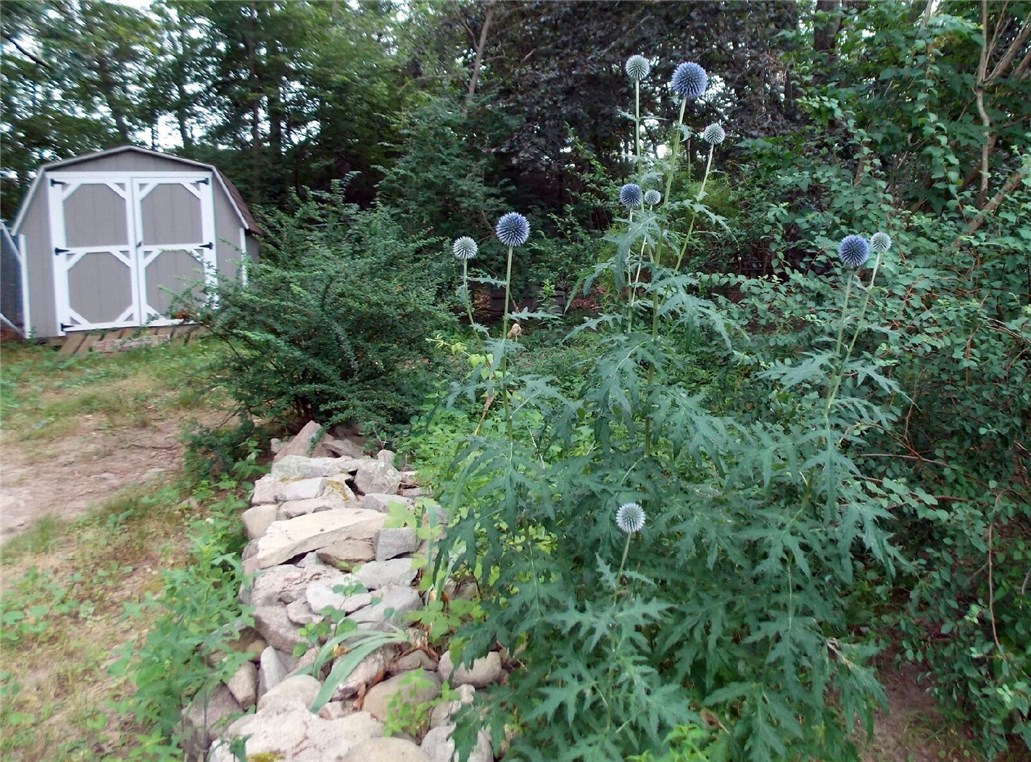 125 Post Road Westerly, RI 02891 - Photo 19 of 23 Shed