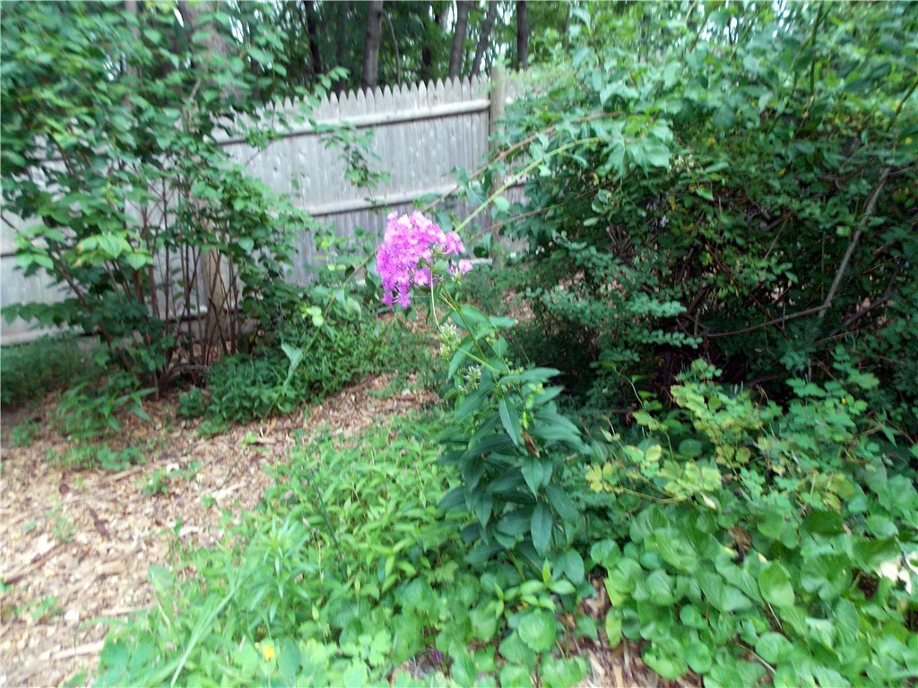 125 Post Road Westerly, RI 02891 - Photo 20 of 23 Yard
