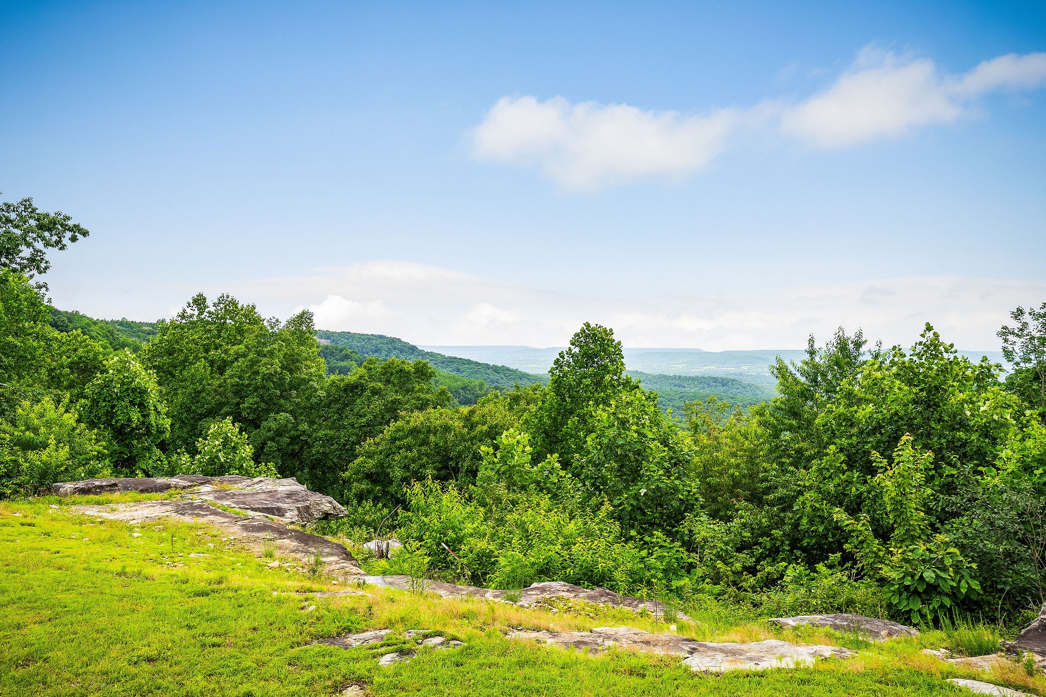 281 Ripley Road Sparta, TN 38583 - Photo 5 of 64