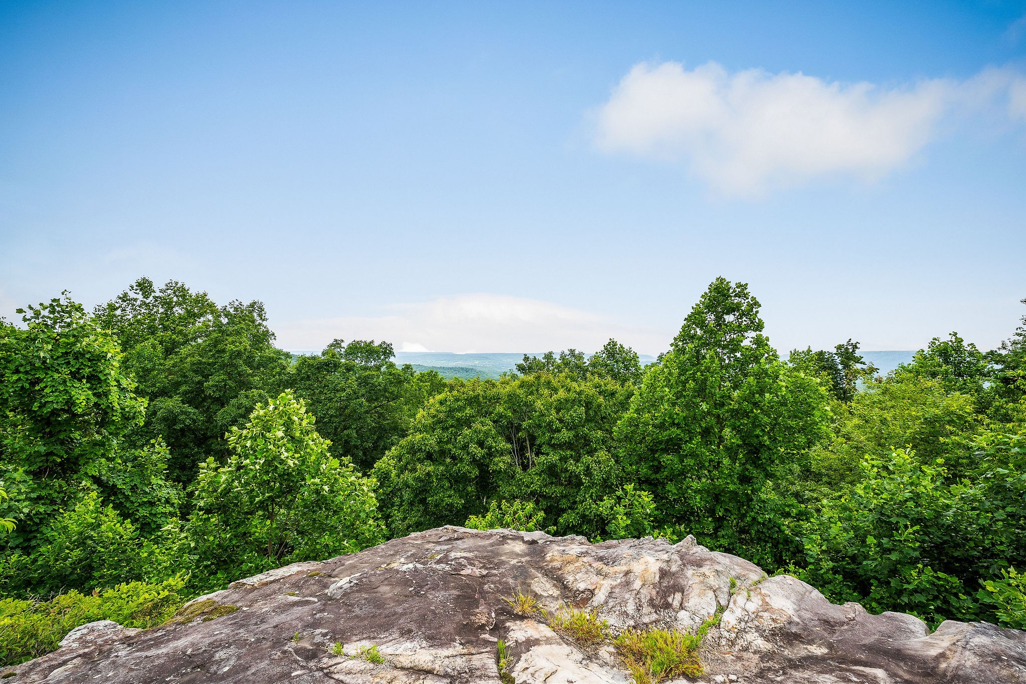 281 Ripley Road Sparta, TN 38583 - Photo 63 of 64