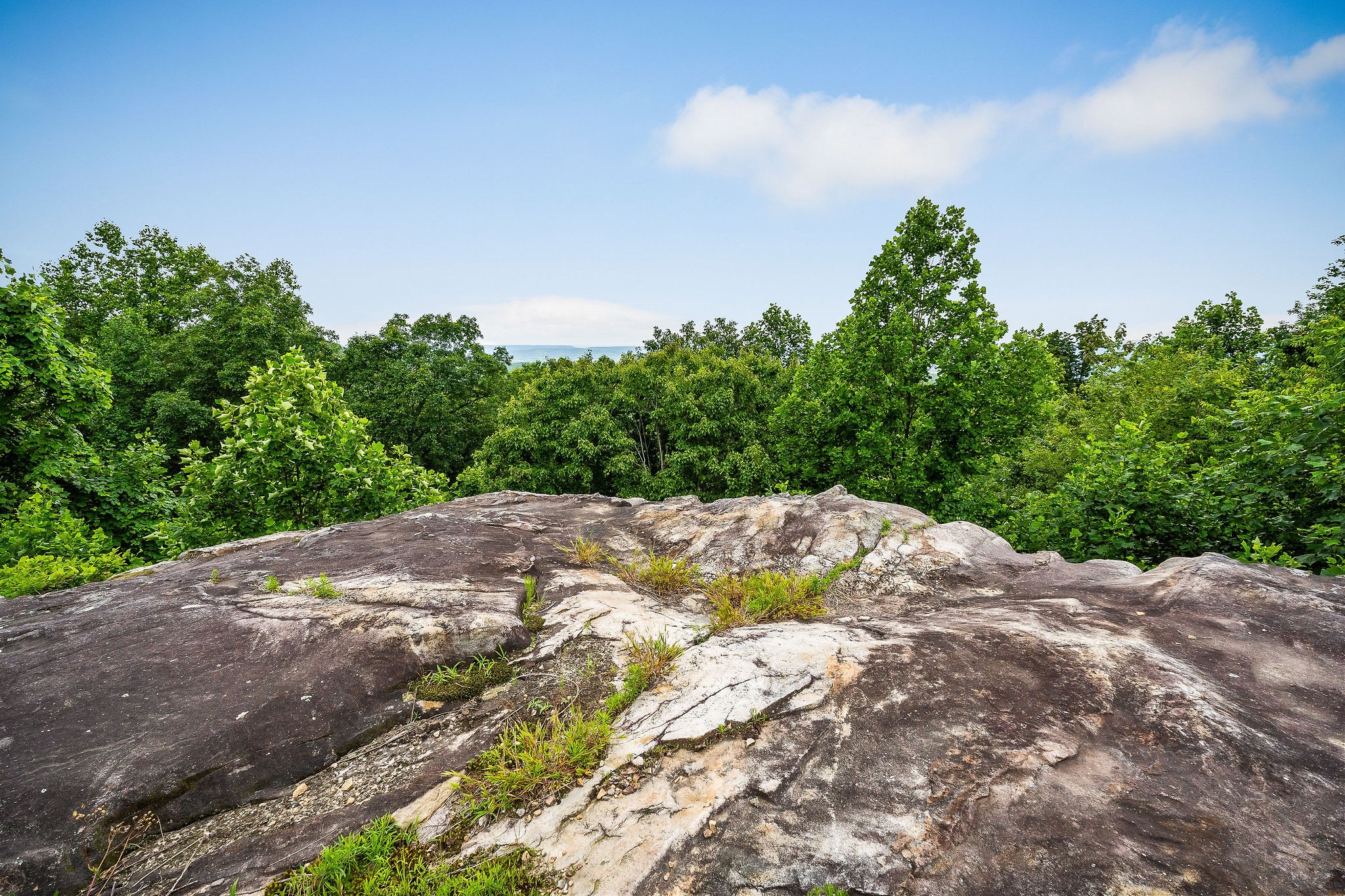 281 Ripley Road Sparta, TN 38583 - Photo 64 of 64