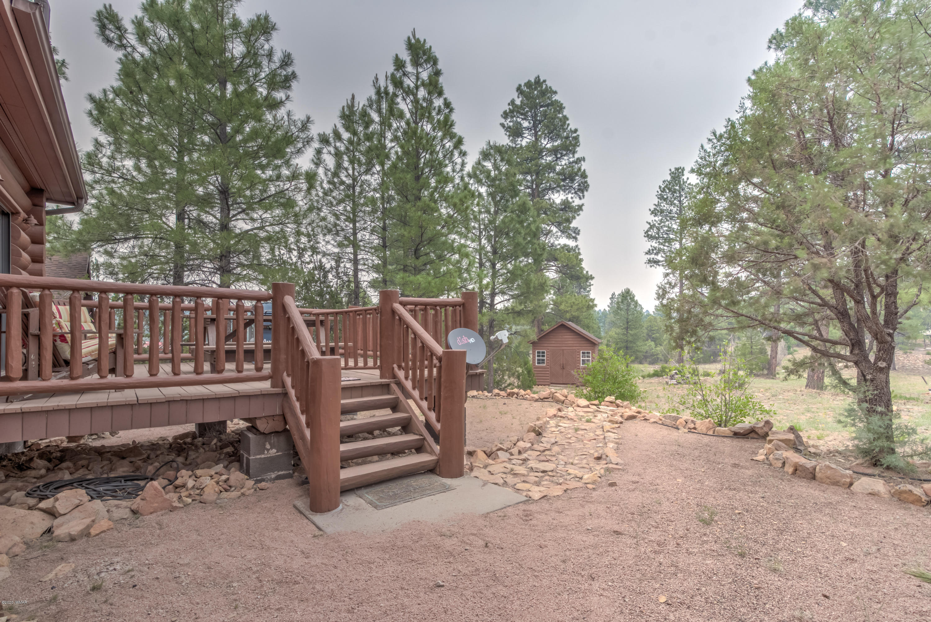 3367 Pine Rim Road Overgaard, AZ 85933 - Photo 10 of 31