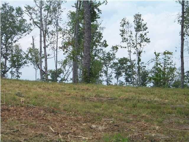15 Jackson Point Road, Unit 15 Sewanee, TN 37375 - Photo 1 of 1 Lot 15 jackson point