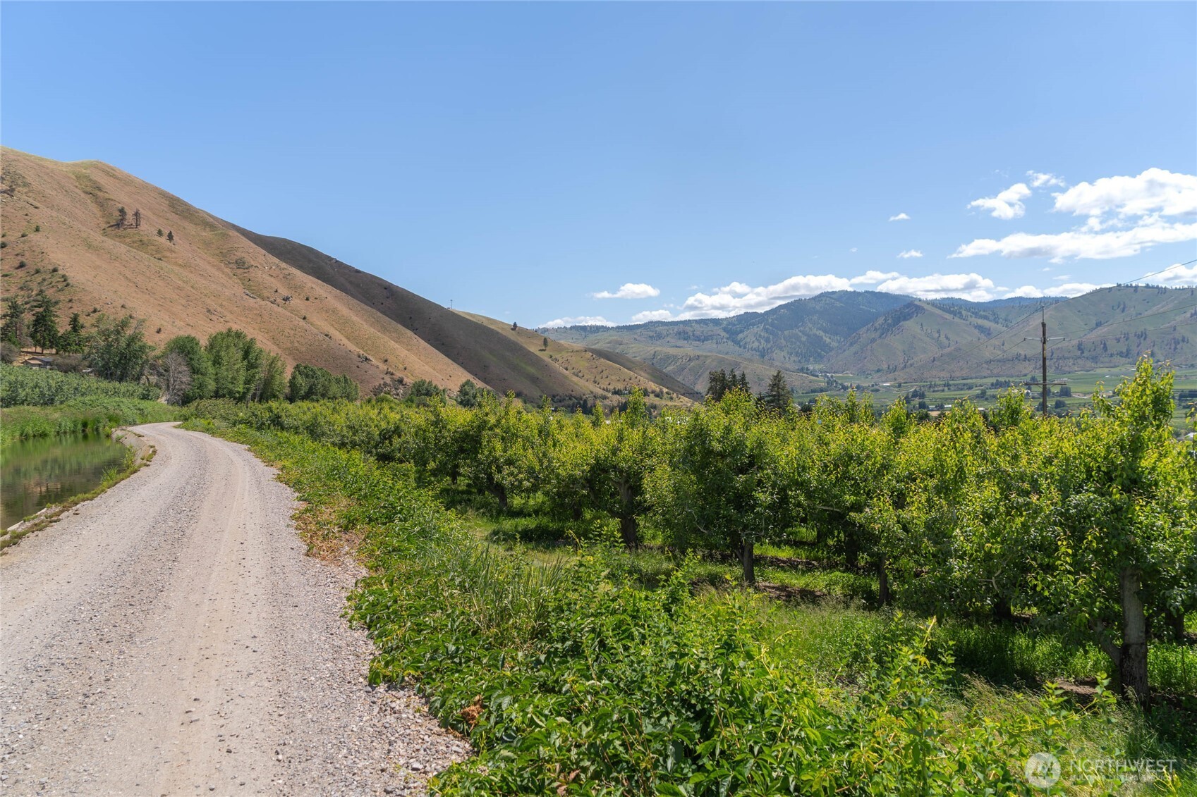 0 Red Apple Road Cashmere, WA 98815 - Photo 25 of 38 a view of a lush green hillside and a mountain