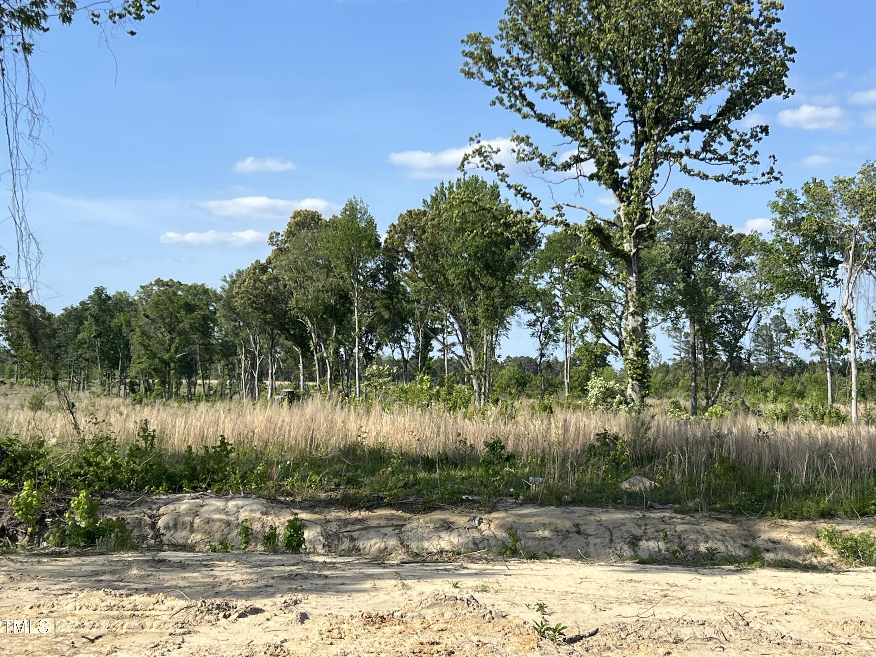 259 Palomo Place Raeford, NC 28376 - Photo 23 of 23 a view of a lake in between two trees
