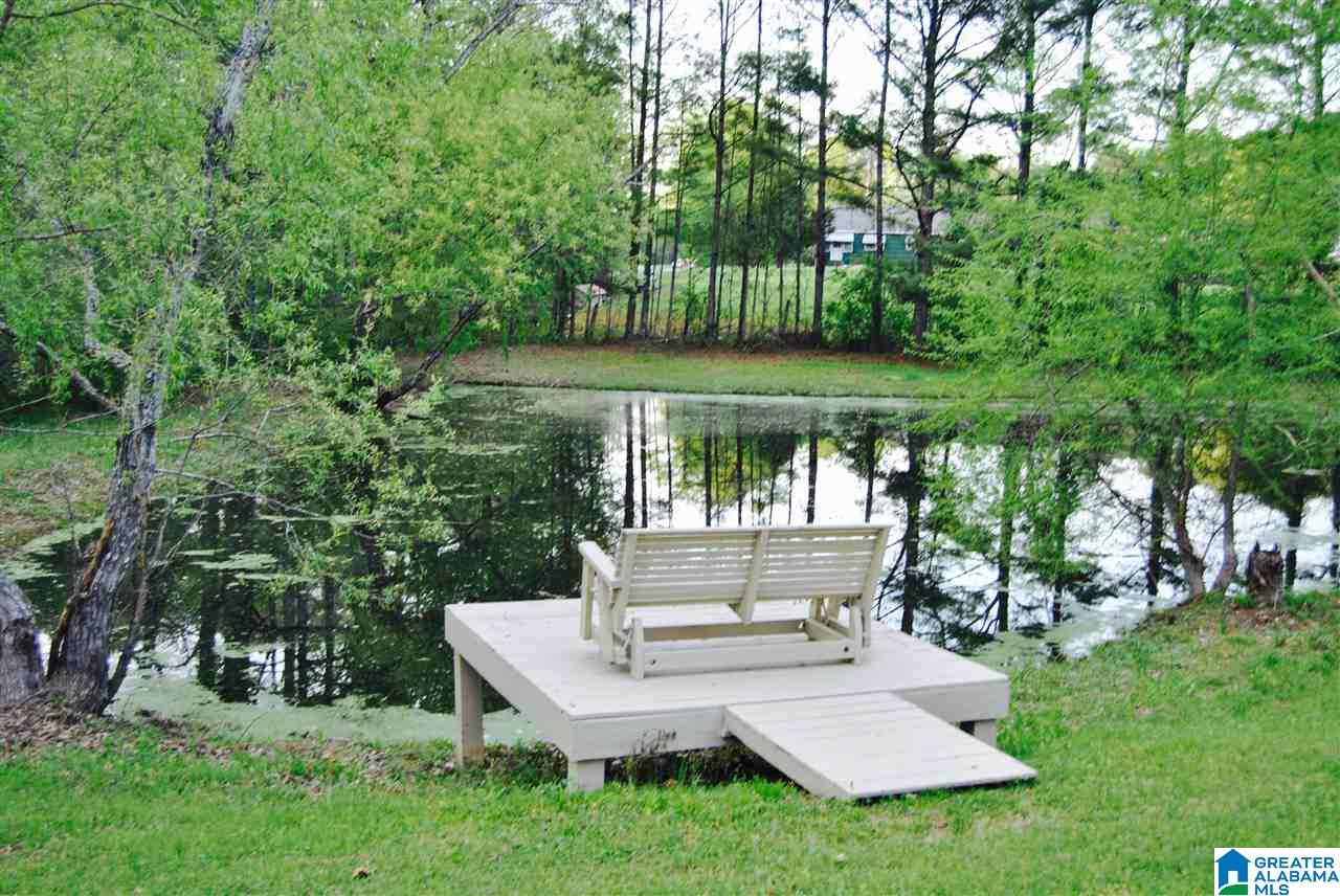 7348 Chelsea Road Columbiana, AL 35051 - Photo 30 of 38