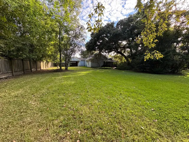 a view of a trees in a yard