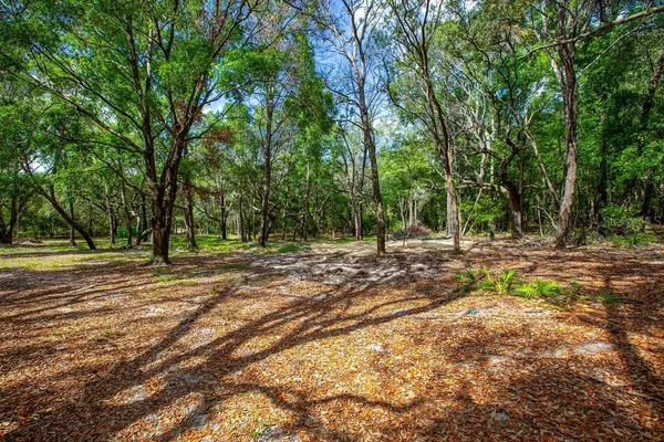 a view of outdoor space with trees