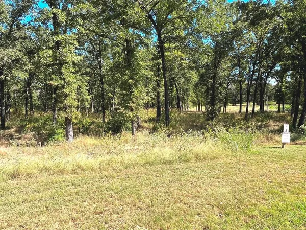 a view of yard with large trees