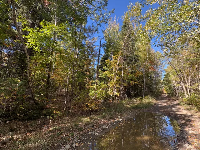 $60,000 | Map1-lot1 Rutland Road, Plymouth, ME 04969