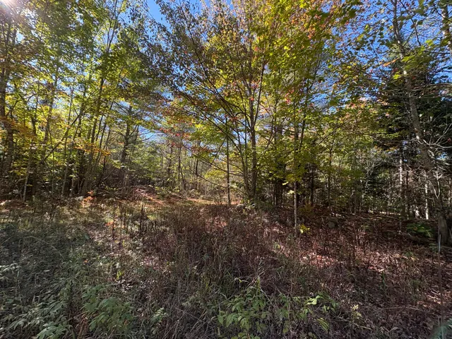 $60,000 | Map1-lot1 Rutland Road, Plymouth, ME 04969