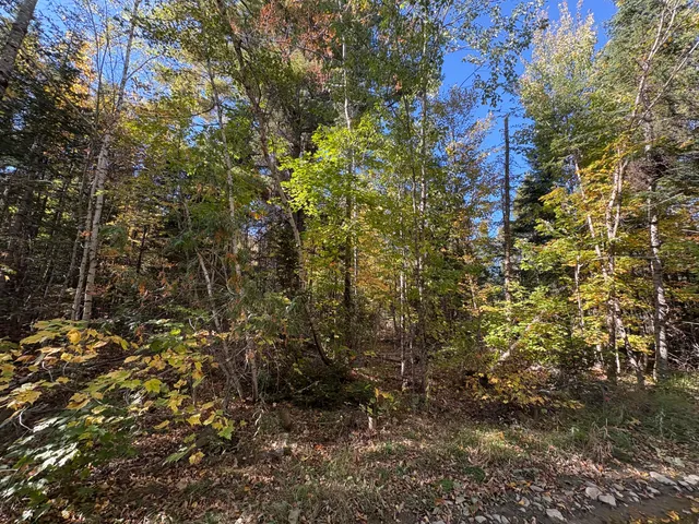 $60,000 | Map1-lot1 Rutland Road, Plymouth, ME 04969