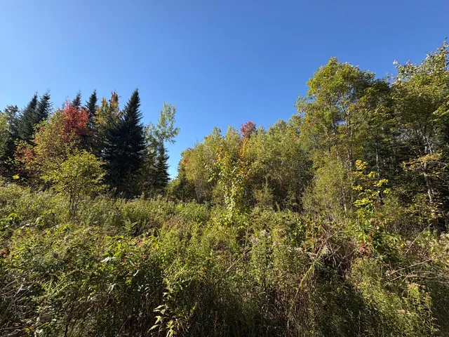 $60,000 | Map1-lot1 Rutland Road, Plymouth, ME 04969