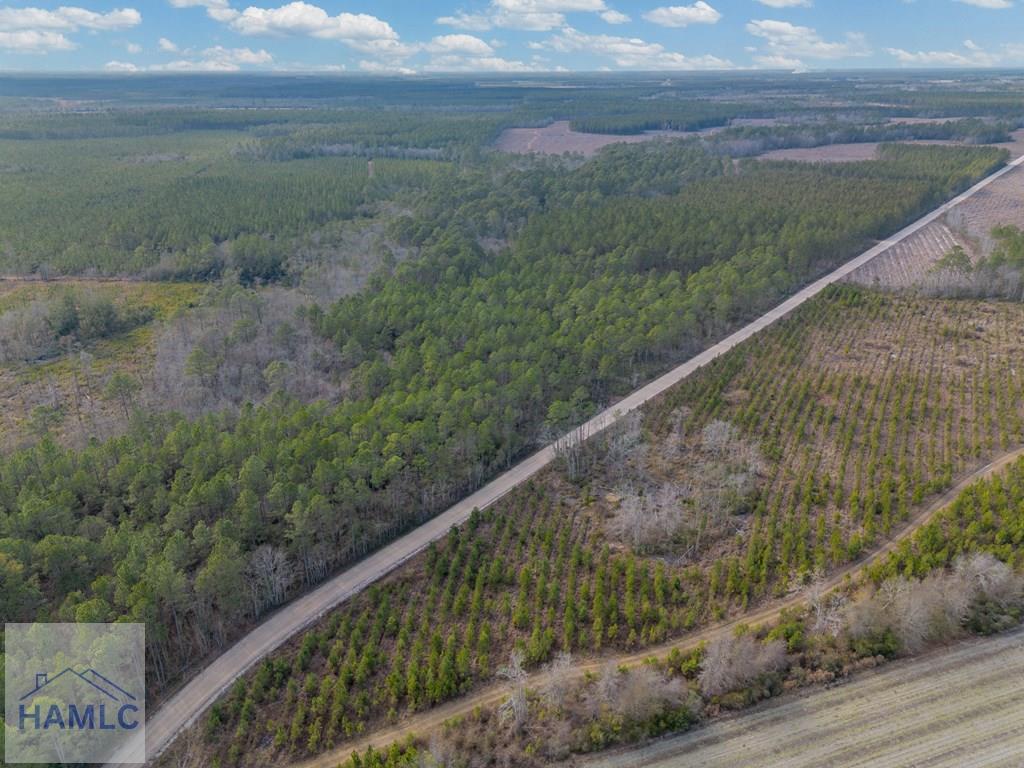 3 Reddish Road Screven, GA 31560 - Photo 29 of 55 Gallery Image 29