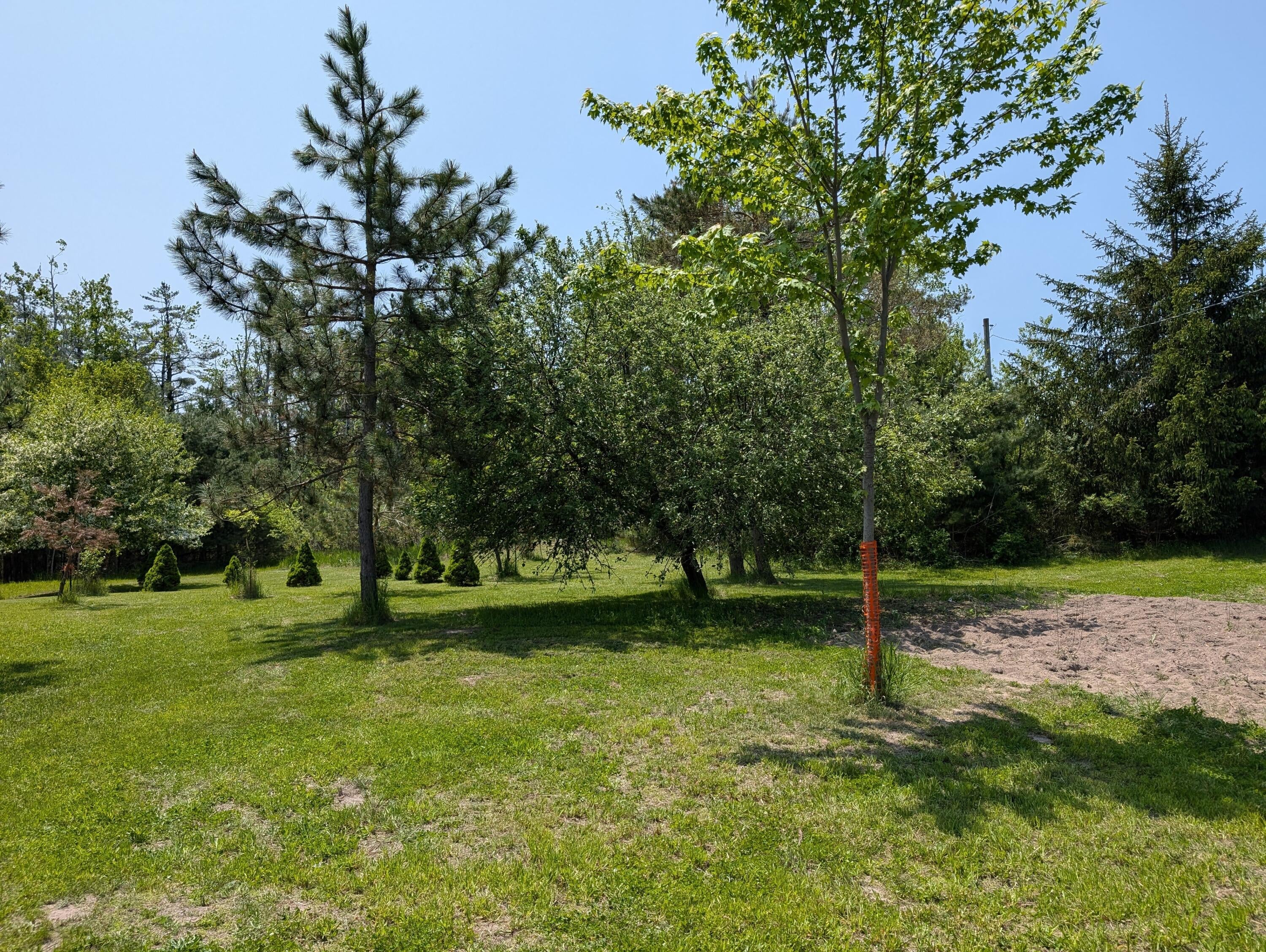 11179 Hossler Road Atlanta, MI 49709 - Photo 61 of 100 PXL_20250601_172319127