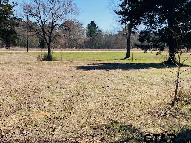 Tbd Tbd Ridgeline Loop Winona, TX 75792 - Photo 11 of 14