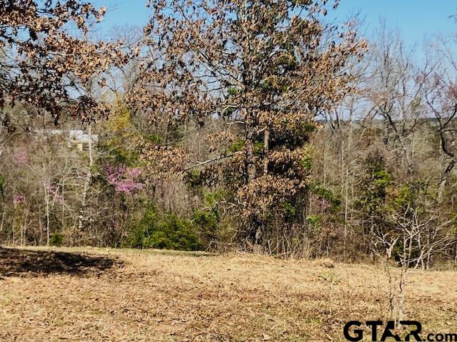 Tbd Tbd Ridgeline Loop Winona, TX 75792 - Photo 12 of 14