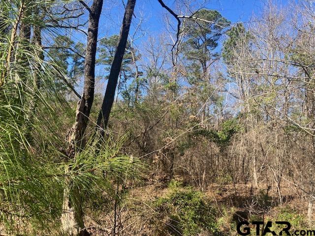 Tbd Tbd Ridgeline Loop Winona, TX 75792 - Photo 13 of 14