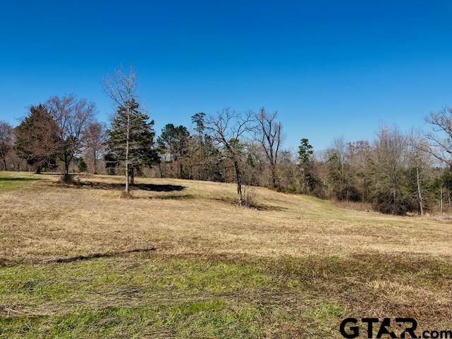 Tbd Tbd Ridgeline Loop Winona, TX 75792 - Photo 2 of 14