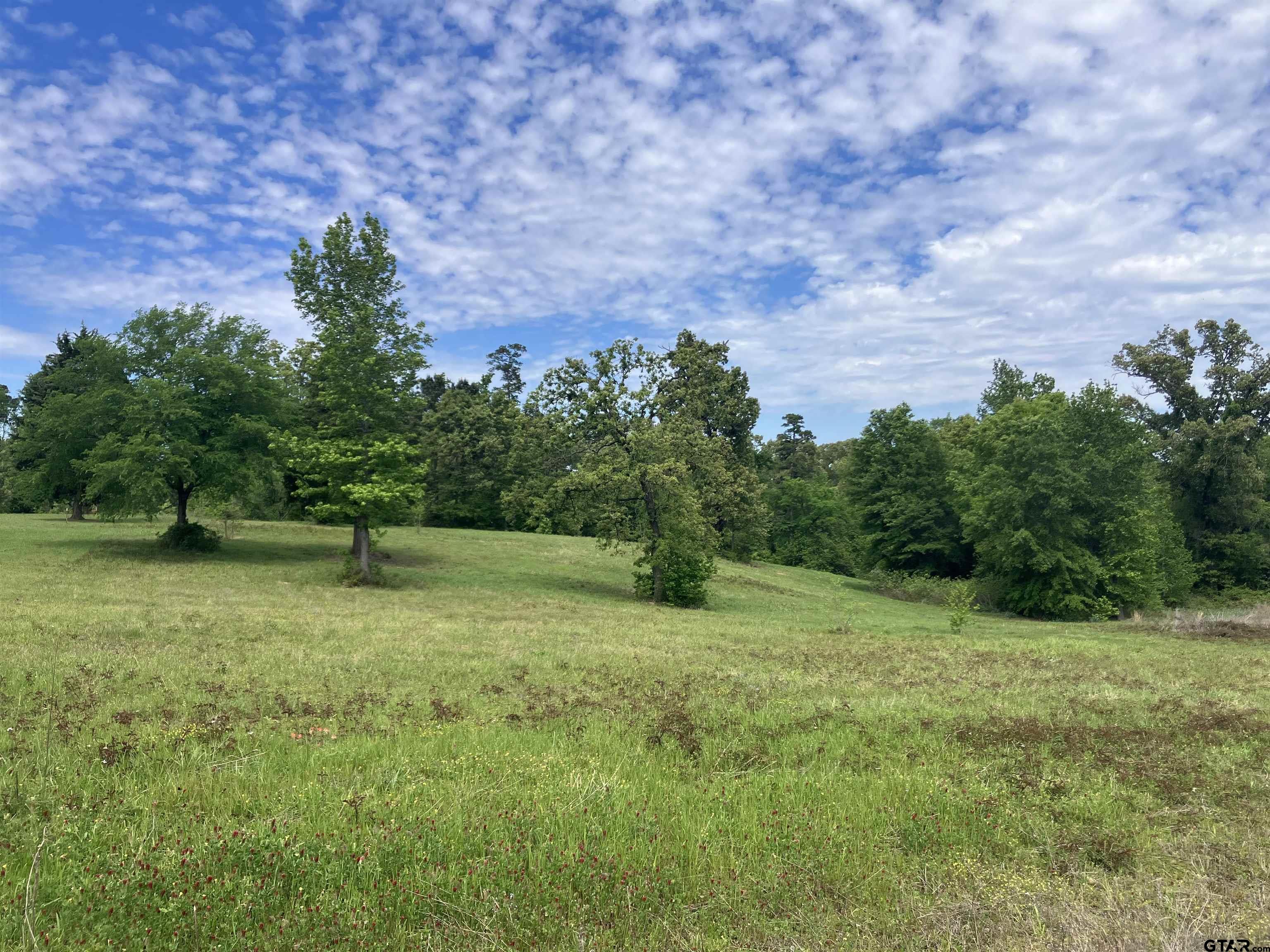 Tbd Tbd Ridgeline Loop Winona, TX 75792 - Photo 3 of 18 a backyard of a house with lots of green space