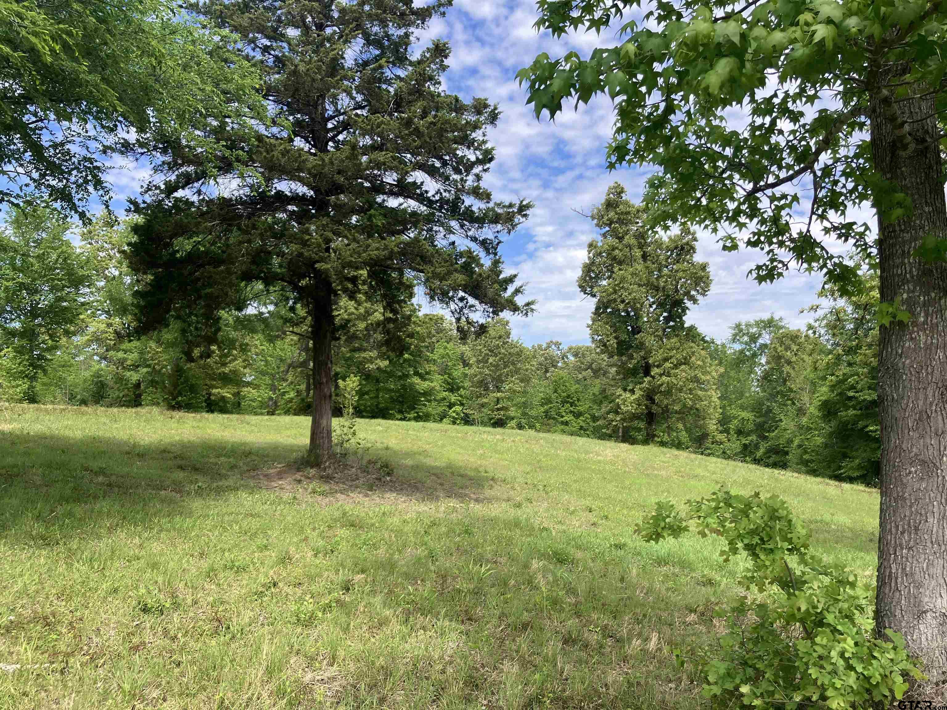 Tbd Tbd Ridgeline Loop Winona, TX 75792 - Photo 5 of 18 a view of field with trees in the background
