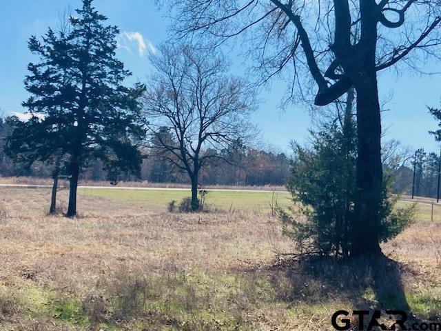 Tbd Tbd Ridgeline Loop Winona, TX 75792 - Photo 5 of 14